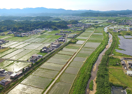 京都丹後 大宮町　丹後織物工業組合付近　水田