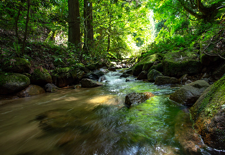 Takeno river,Kyotango