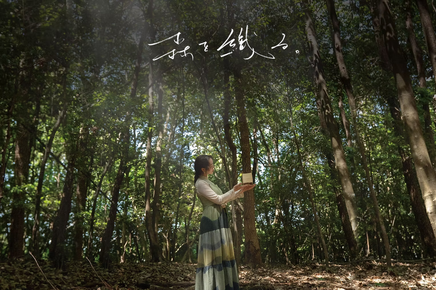 ドキュメンタリー映画『森を織る。』プレミア上映のご案内